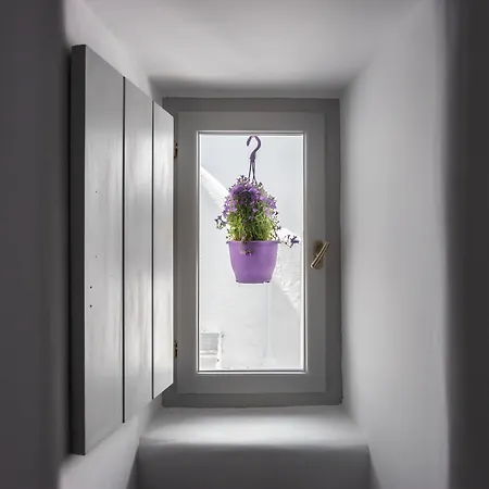 Aniko Chora Mykonos Town